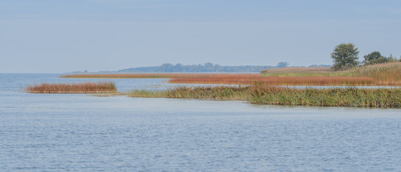 Similar image 21827717