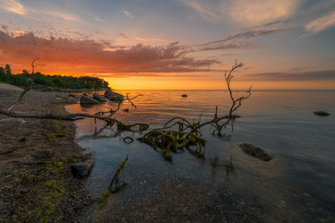 Similar image 21827718