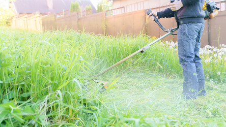 Similar image 21827726