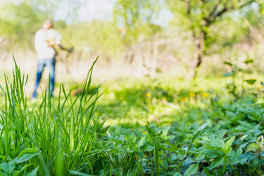 Similar image 21827727