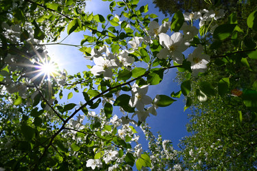 Similar image 21825604