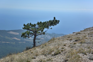 Similar image 21826053