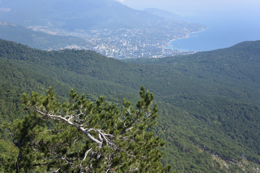 Similar image 21826054