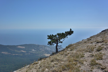 Similar image 21826057