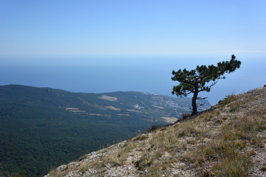 Similar image 21826058