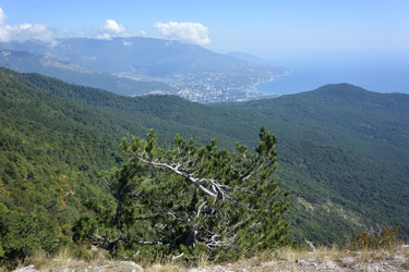 Similar image 21826059