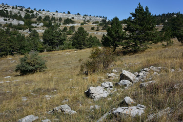 Similar image 21826060