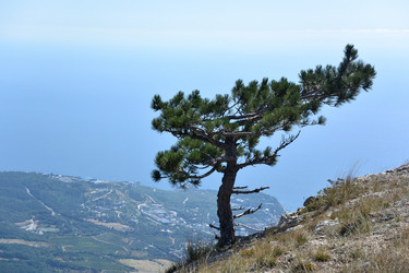 Similar image 21826061