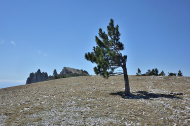 Similar image 21826066