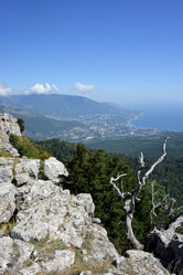 Similar image 21826075