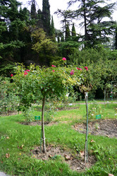 Similar image 21826083