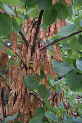 Similar image 21826084