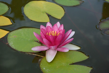 Similar image 21826085