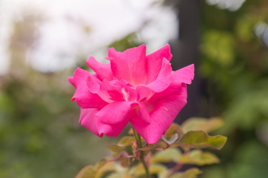 Similar image 21826217