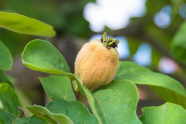 Similar image 21826218