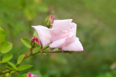 Similar image 21826219