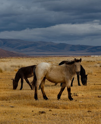 Similar image 21826387