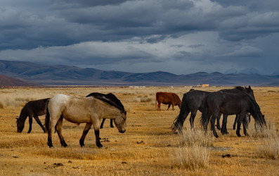 Similar image 21826388