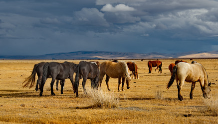 Similar image 21826390