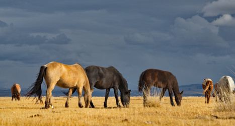 Similar image 21826391