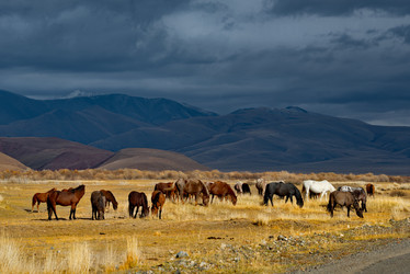 Similar image 21826393