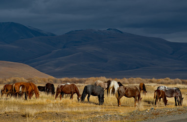 Similar image 21826394