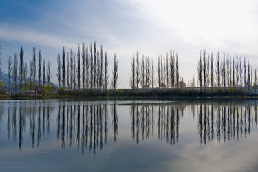 Similar image 21827101