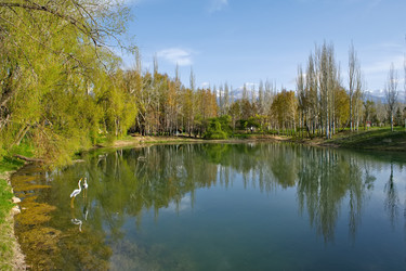 Similar image 21827104