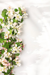 Similar image 21826094