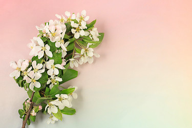 Similar image 21826095