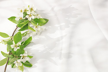 Similar image 21826097