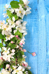 Similar image 21826098