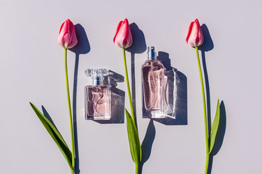 Similar image 21825615