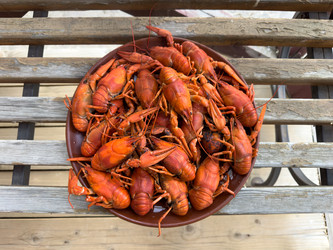 Similar image 21825827