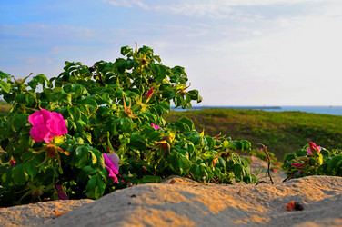 Similar image 21825739