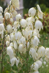 Similar image 21826223