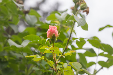 Similar image 21826224