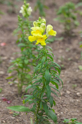 Similar image 21826226