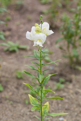 Similar image 21826227