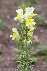 Similar image 21826229