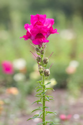 Similar image 21826230