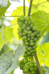 Similar image 21826231