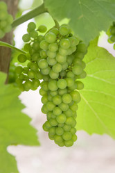 Similar image 21826232