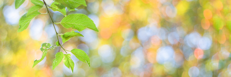 Similar image 21827497