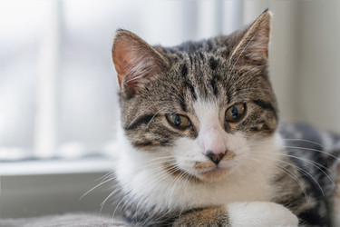 Similar image 21827498