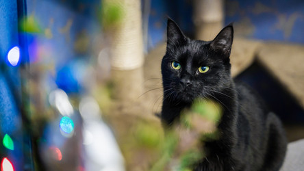 Similar image 21827505