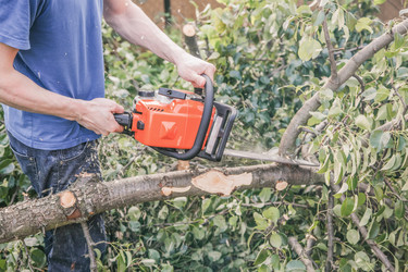 Similar image 21827507