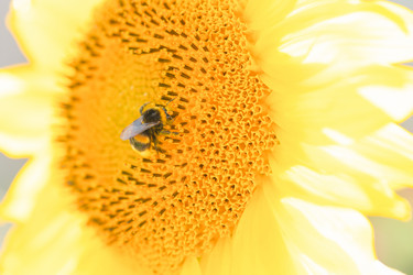 Similar image 21827740