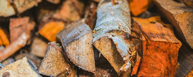 Similar image 21827742