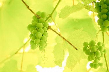 Similar image 21827743